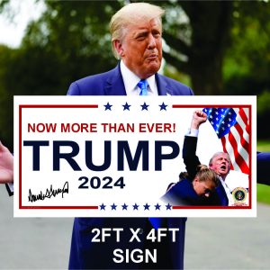 T24S-122 TRUMP MORE THAN EVER 2FT X 4XFT SIGN 24' X 48'